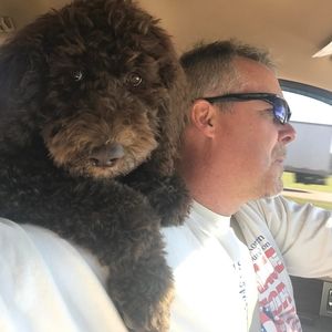 Meet your Posher, Jeff